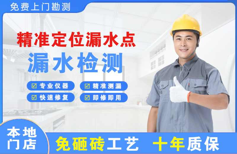 灵台精准测漏点